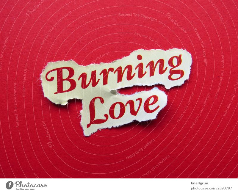 Burning Love Schriftzeichen Schilder & Markierungen Kommunizieren Zusammensein rot weiß Gefühle Glück Lebensfreude Euphorie Liebe Verliebtheit Begierde Lust Sex