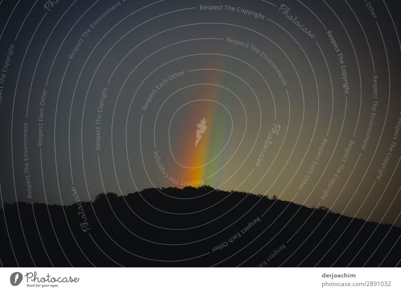 Der Himmel ist bunt durch Strahlen des Regenbogens. Der scheint auf einen bewaldeten Hügel mit Wald. Erholung ruhig Sommer Umwelt Natur Landschaft Nachthimmel
