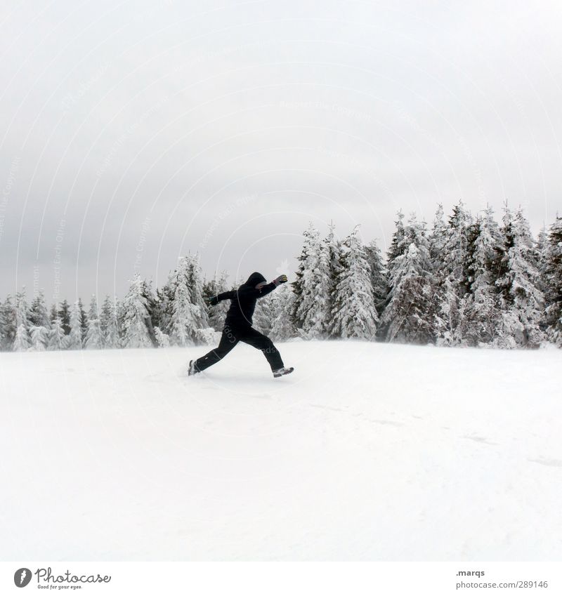 Wintersport Lifestyle Ferien & Urlaub & Reisen Schnee Winterurlaub Mensch maskulin Erwachsene Natur Landschaft Himmel Baum Zeichen rennen springen kalt