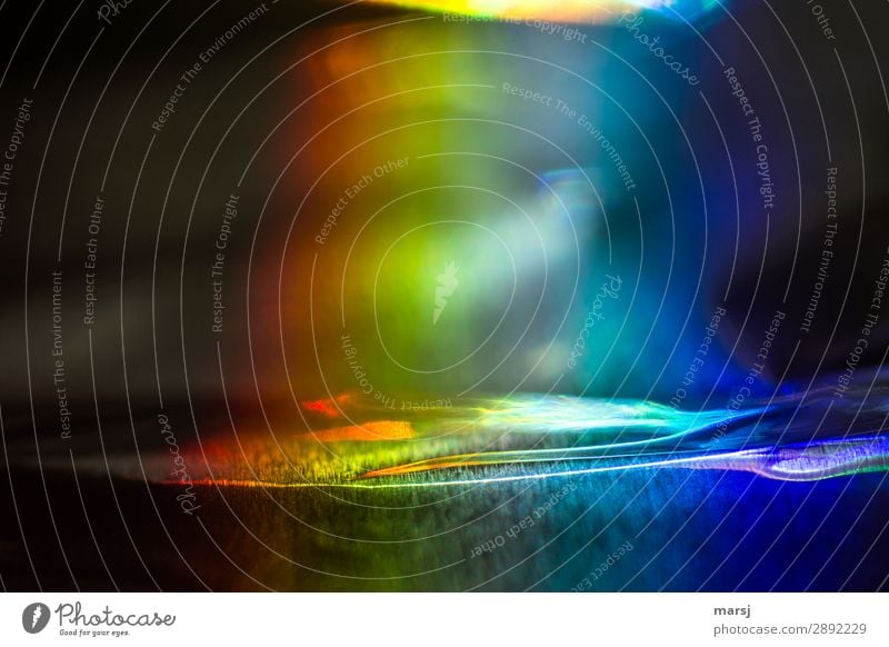 Buntes regenbogenfarben eigenwillig wellig außergewöhnlich dunkel verrückt mehrfarbig skurril Farbfoto Außenaufnahme Nahaufnahme Makroaufnahme Experiment