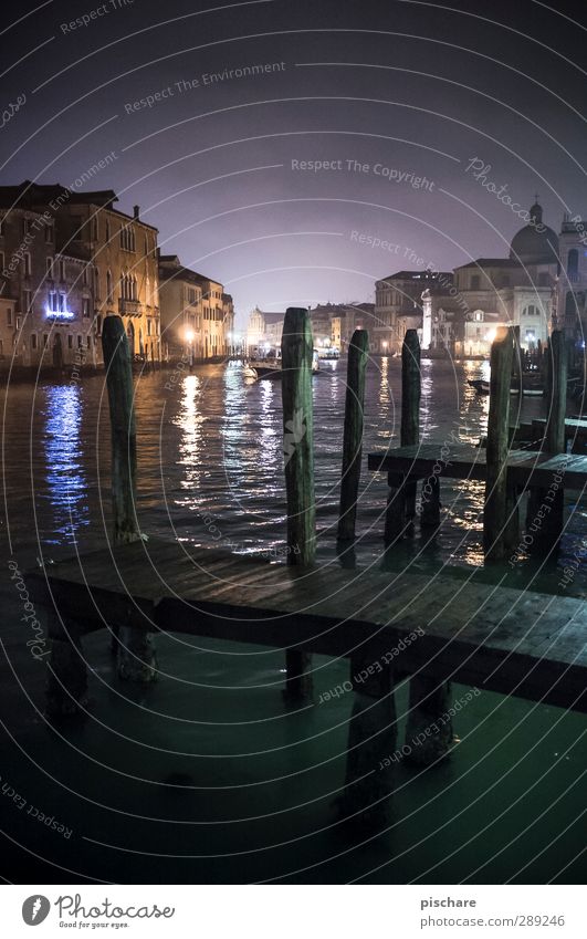 Venedig Fluss Stadt Altstadt Dom Gebäude Sehenswürdigkeit Sehnsucht Fernweh Canal Grande Steg Italien Wasser Farbfoto Außenaufnahme Menschenleer Nacht