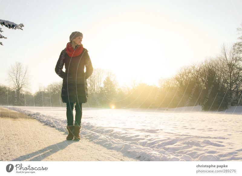 Wintersonne elegant Stil Erholung Schnee Winterurlaub Mensch Junge Frau Jugendliche 1 18-30 Jahre Erwachsene 30-45 Jahre Schönes Wetter Eis Frost Park stehen