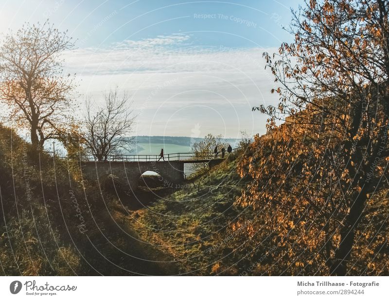 Kleine Brücke in der Herbstlandschaft Tourismus Ausflug Natur Landschaft Himmel Wolken Sonne Sonnenlicht Schönes Wetter Baum Blatt Hügel Burg oder Schloss gehen