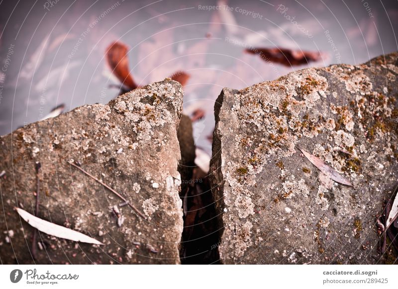 the beginning of Armageddon Umwelt Wasser Herbst Felsen Mauer Wand Stein Spalte Riss bedrohlich dunkel eckig einfach kaputt trist braun Sorge Angst gefährlich