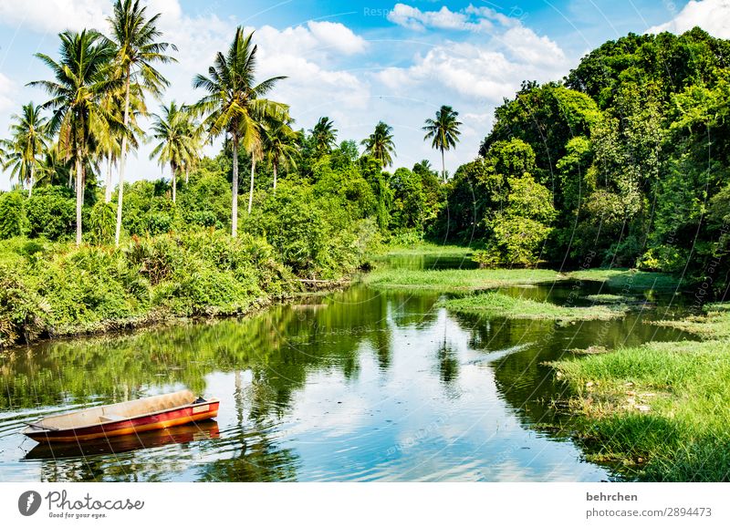 in der ruhe liegt die kraft Ruhe Kontrast Licht Tag Außenaufnahme Farbfoto Malaysia Fluss Urwald Wasser Landschaft Natur Ferien & Urlaub & Reisen Tourismus