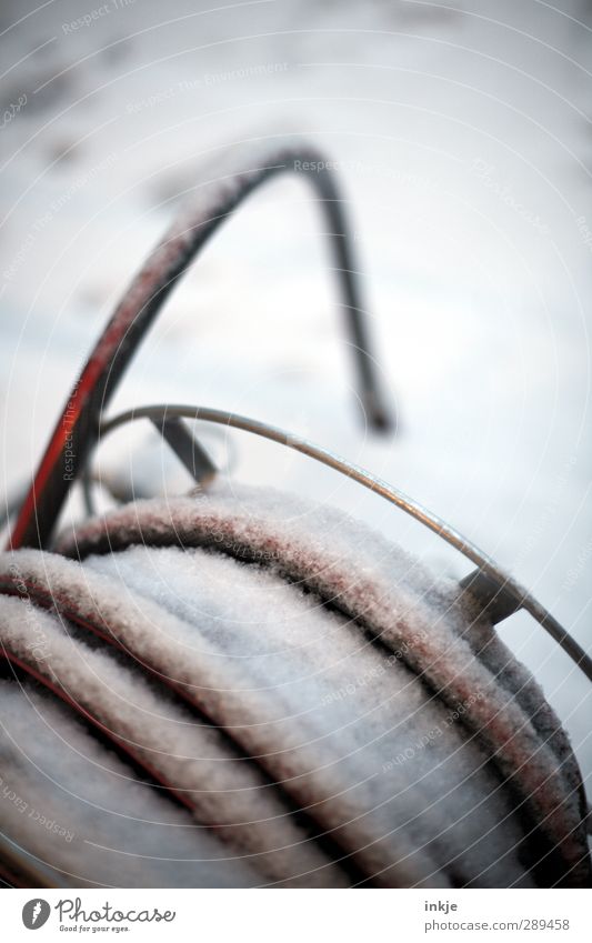 winter Gartenarbeit Menschenleer Gartenschlauch schlauchwagen Rolle kalt Wandel & Veränderung aufgerollt gefroren zugeschneit Schnee bewegungslos Farbfoto