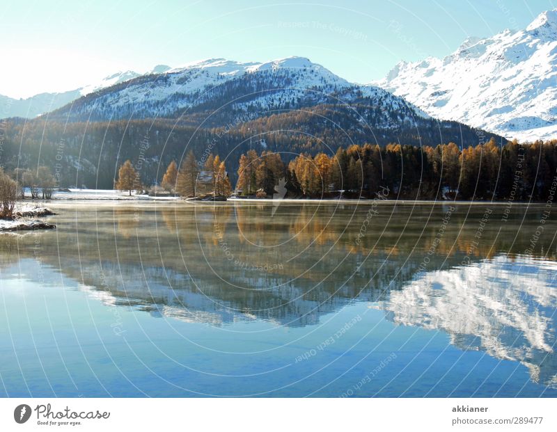 Berge mit Puderzucker Umwelt Natur Landschaft Pflanze Urelemente Wasser Himmel Wolkenloser Himmel Winter Baum Felsen Alpen Berge u. Gebirge Gipfel