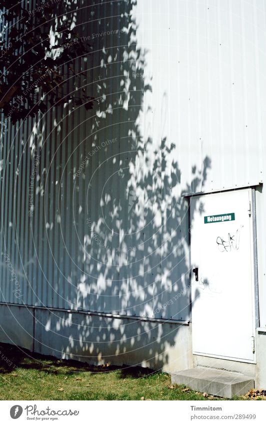 Weltuntergang| A Way Out? Fabrik Mauer Wand Tür Metall warten einfach grau grün weiß Notausgang Baum Schatten Gras Farbfoto Gedeckte Farben Außenaufnahme