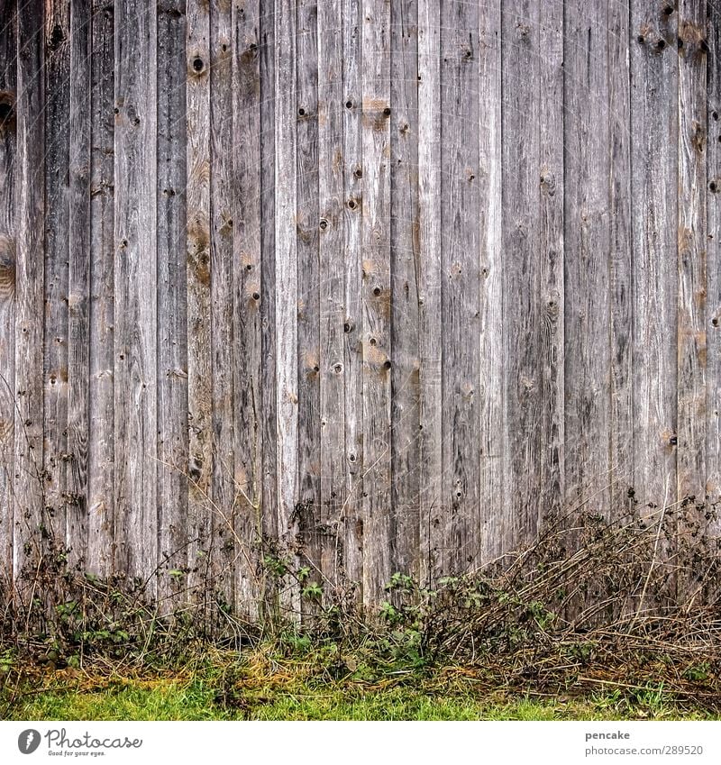 weltuntergang | geschlossene gesellschaft! Umwelt Natur Pflanze Urelemente Erde Klima Gras Feld Menschenleer Haus Hütte Mauer Wand Fassade Holz Gefühle