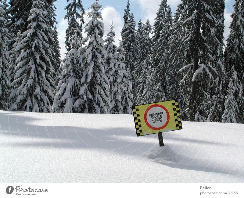 Gesperrte Piste gesperrt Winter Wald Schneelandschaft Skipiste Berge u. Gebirge Eis Tiefschnee Pulverschnee Warnschild Verbotsschild Verbote Winterwald