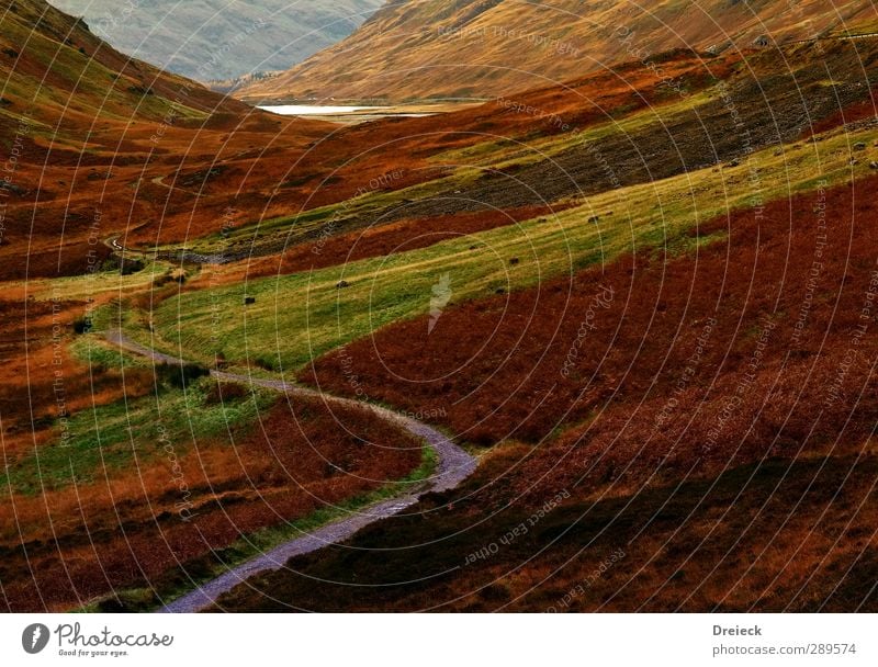 highland path Berge u. Gebirge wandern Umwelt Natur Landschaft Herbst Hügel Schlucht Schottland Menschenleer braun gelb gold grün orange rot schwarz Farbfoto