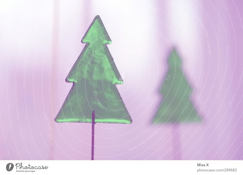 Tannenbaum Weihnachten & Advent Winter Baum leuchten grün violett Weihnachtsbaum Weihnachtsdekoration Glas durchsichtig Farbfoto Nahaufnahme Menschenleer