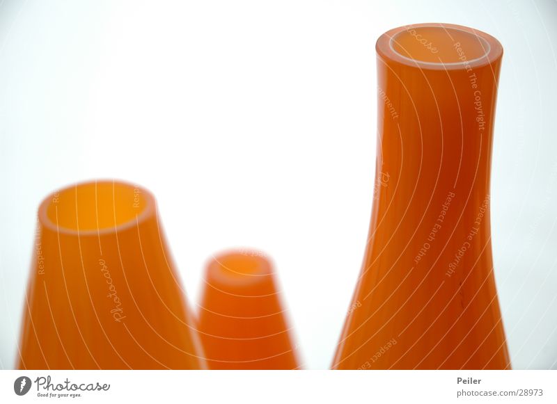Blumenvasen in orange Vase weiß Stillleben rund Oval Häusliches Leben Glas