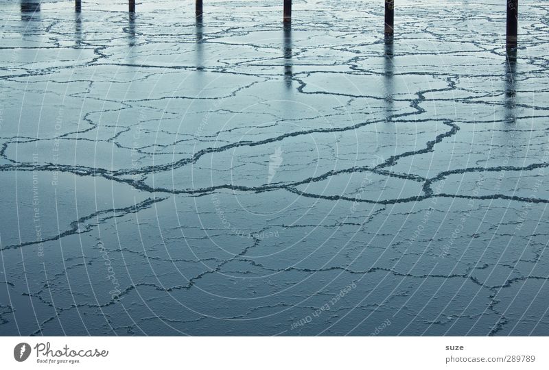 Überfluss | Frozen planet Eis Winter Eisfläche Eisschicht Riss Wasser Hafen Pfosten Holzpfahl gefroren kalt blau Strukturen & Formen Eisscholle
