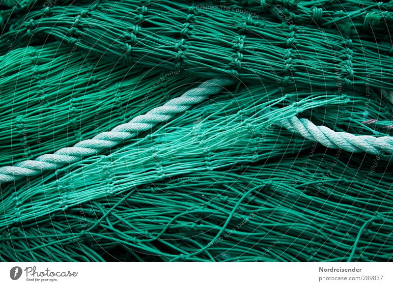 Grün Wirtschaft Netz Netzwerk grün komplex Ordnung Fischereiwirtschaft Fischernetz Fischgräte Seil Hintergrundbild Strukturen & Formen Farbfoto Außenaufnahme