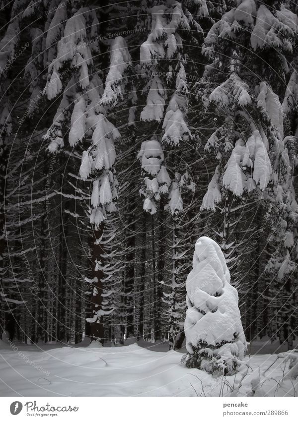 was ihr wollt Frau Erwachsene Kunstwerk Skulptur Urelemente Winter Schnee Wald einzigartig Gelassenheit Perspektive Sinnesorgane skurril Statue Denkmal Maria