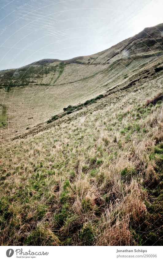 Arthur's Seat I Umwelt Natur Landschaft Gras Hügel Berge u. Gebirge Gipfel hoch Edinburgh Schottland arthur's seat trüb aufsteigen wandern Außenaufnahme