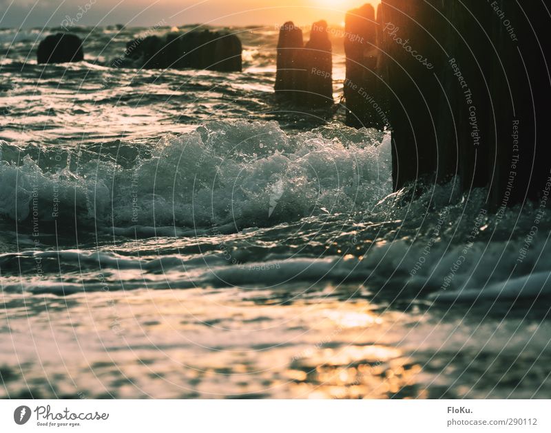 Wellen im Abendlicht Ferien & Urlaub & Reisen Ferne Freiheit Sommer Sommerurlaub Sonne Strand Meer Umwelt Natur Urelemente Wasser Sonnenaufgang Sonnenuntergang