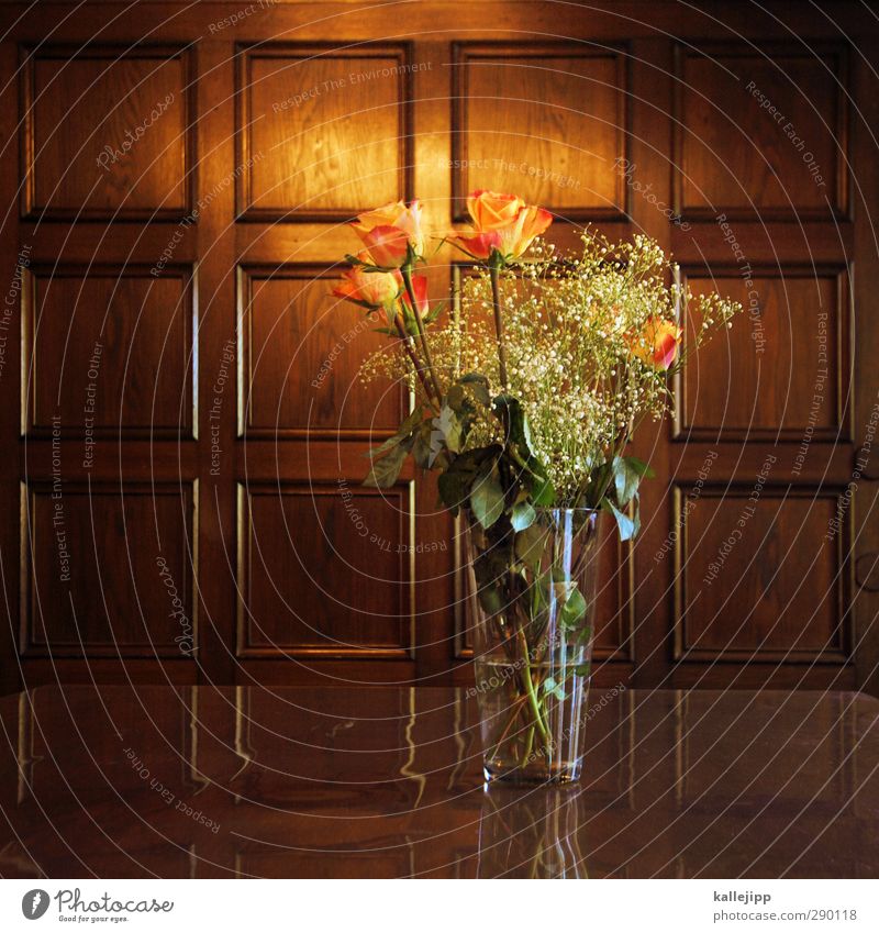 mfg Lifestyle elegant Stil Pflanze Blume Erotik Holz Wandtäfelung Vase Glas Blumenstrauß Rose Valentinstag festlich Farbfoto mehrfarbig Innenaufnahme