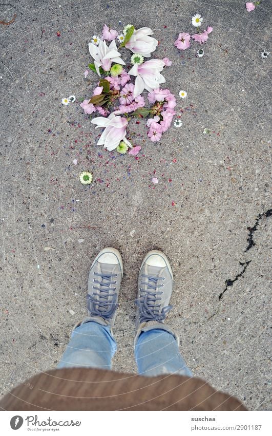 frühling .. runtergefallen Frau Mensch Beine Fuß Ostern Feste & Feiern Tradition mehrfarbig Farbe stehen Straße Asphalt Schuhe Schnürschuhe Turnschuh seltsam