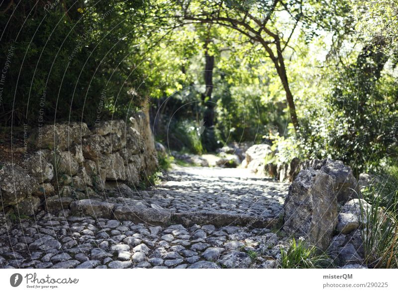 On Old Paths. Natur ästhetisch wandern Wege & Pfade Waldlichtung Wegrand mediterran Pilger Stein Außenaufnahme Spanien Mallorca Mauer verträumt Surrealismus