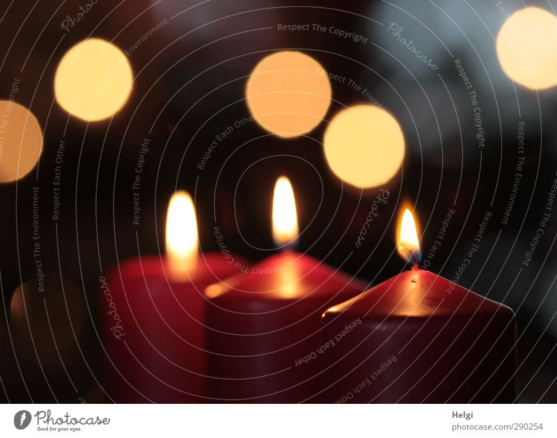 drei brennende rote Kerzen vor dunklem Hintergrund mit Bokeh Wohnung Dekoration & Verzierung Feste & Feiern Weihnachten & Advent Flamme Lichtpunkt leuchten