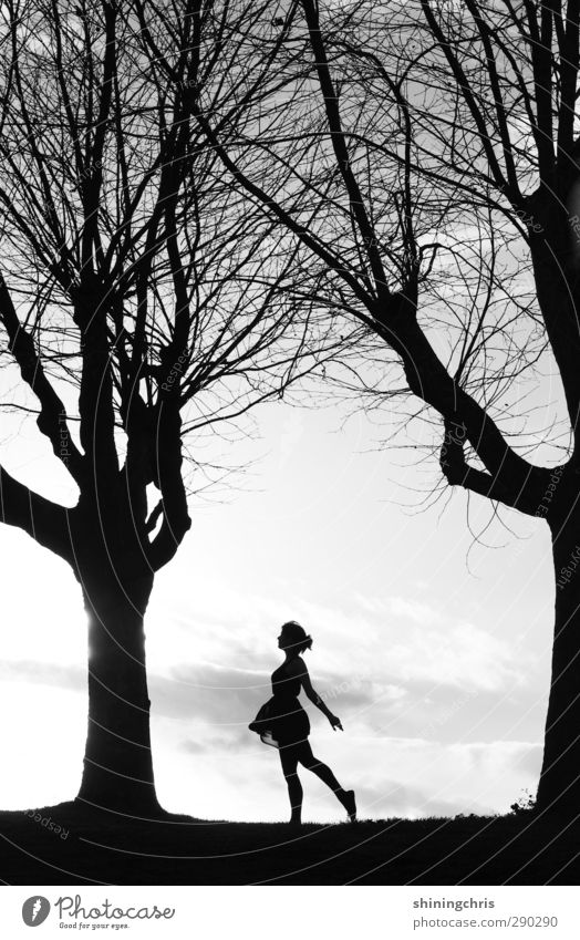 100 ! feminin Junge Frau Jugendliche Körper Mensch 18-30 Jahre Erwachsene Natur Landschaft Wolken Sonnenlicht Baum Kleid gehen laufen Tanzen frei Unendlichkeit