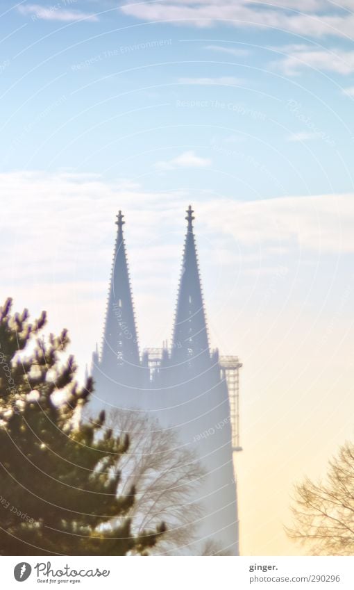 Noch im Nebel Köln Kölner Dom Kirche Bauwerk Gebäude Architektur Sehenswürdigkeit Wahrzeichen blau weiß hell hell-blau dunkel Baum Baumkrone Baugerüst Himmel