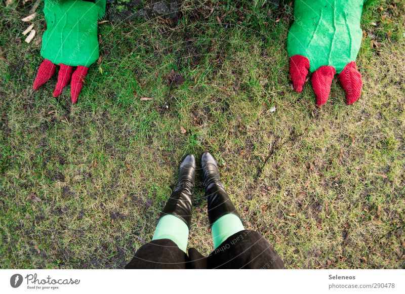 trau dich doch. Mensch Beine Fuß 1 Umwelt Natur Gras Park Wiese Rock Strumpfhose Schuhe Stiefel Tier stehen Zehennagel Drache Dinosaurier stricken Farbfoto