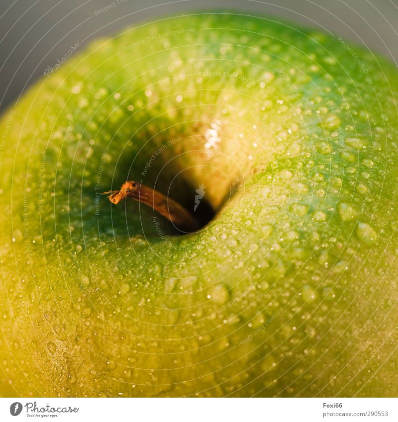 erst waschen dann essen...... Lebensmittel Frucht Apfel Ernährung Gesundheit Wohlgefühl Wasser Wassertropfen Diät Essen Fitness genießen Duft fest lecker