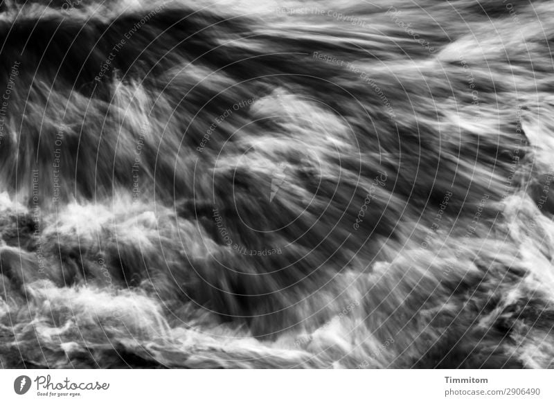 Wasserkraft (2) Umwelt Natur Urelemente Fluss Neckar Bewegung grau schwarz weiß Gefühle Kraft wirbeln sprudelnd Wellen Strömung Gischt Wasserkraftwerk