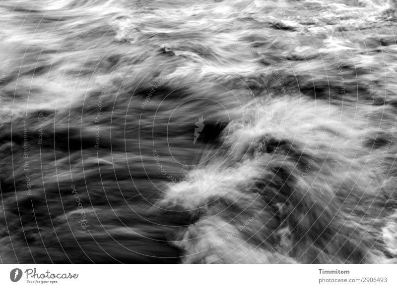 Wasserkraft Umwelt Natur Urelemente Fluss Neckar Bewegung grau schwarz weiß Gefühle Kraft wirbeln sprudelnd Wellen Strömung Gischt Wasserkraftwerk