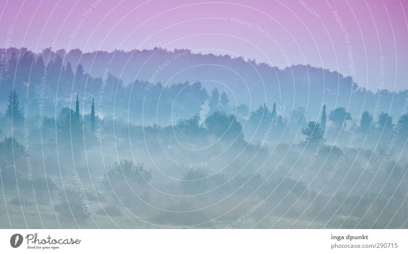 Märchenland Umwelt Natur Landschaft Frühling Nebel Israel Wüste Judäa Abenteuer Nebelschleier Märchenlandschaft traumhaft Nebelbank Morgennebel Farbfoto