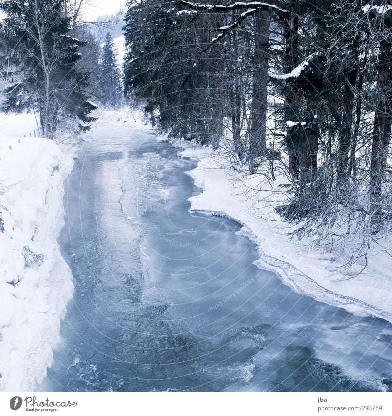 frozen Wellness Erholung ruhig Winter Schnee Umwelt Natur Urelemente Eis Frost Baum Tanne Ast Wald Bach Saanenland dünn eckig fest kalt nass blau weiß