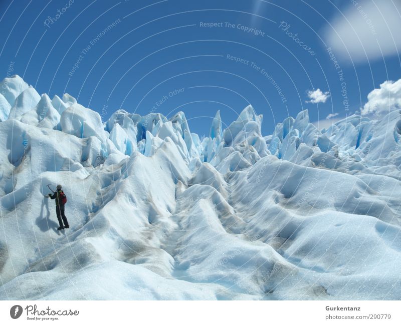 Eisbergsalat Abenteuer Freiheit Expedition Mensch 1 Klimawandel Frost Einsamkeit entdecken erleben Ferne Patagonien El Calafate Calafata Perito Moreno Gletscher