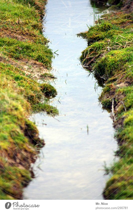 mini - fjord Umwelt Natur Landschaft Wasser Gras Moos Wiese Feld Moor Sumpf Bach nass dreckig Offroad Traktorspur Pfütze Flussufer Erde Umweltschutz