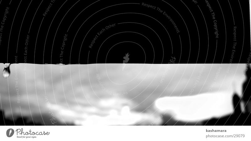 tropf, tropf, tropf Wasser Wassertropfen Wolken Wetter schlechtes Wetter Sturm Regen Küssnacht am Rigi Schweiz nass schwarz weiß Schwarzweißfoto Makroaufnahme