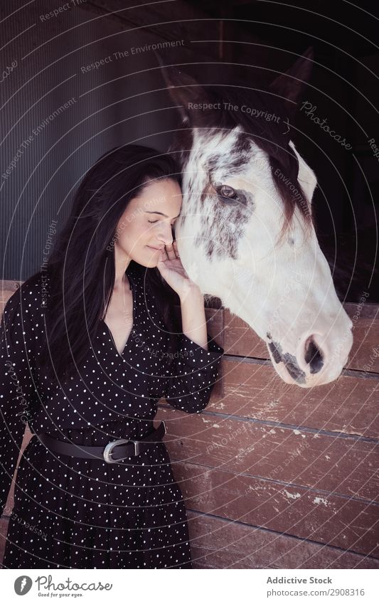 Frau in der Nähe des erstaunlichen Pferdes im Stall Verkaufswagen Jugendliche schön geschlossene Augen attraktiv charmant Kleid berühren Tier Reiterin Hengst