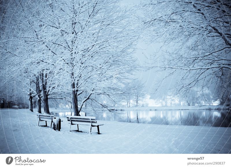 Blauer Teich Nachthimmel Winter Eis Frost Schnee Wiese Magdeburg Deutschland Sachsen-Anhalt Europa Stadt Stadtrand Menschenleer blau Nachtaufnahme