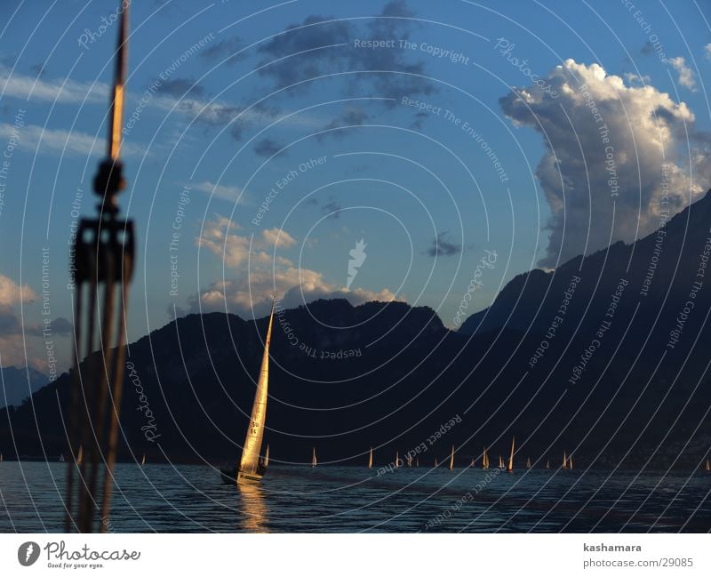 goldenes Segelschiff Ferne Berge u. Gebirge Wassersport Segeln Himmel Wolken Horizont See Schifffahrt Segelboot Wasserfahrzeug nah blau Vierwaldstätter See