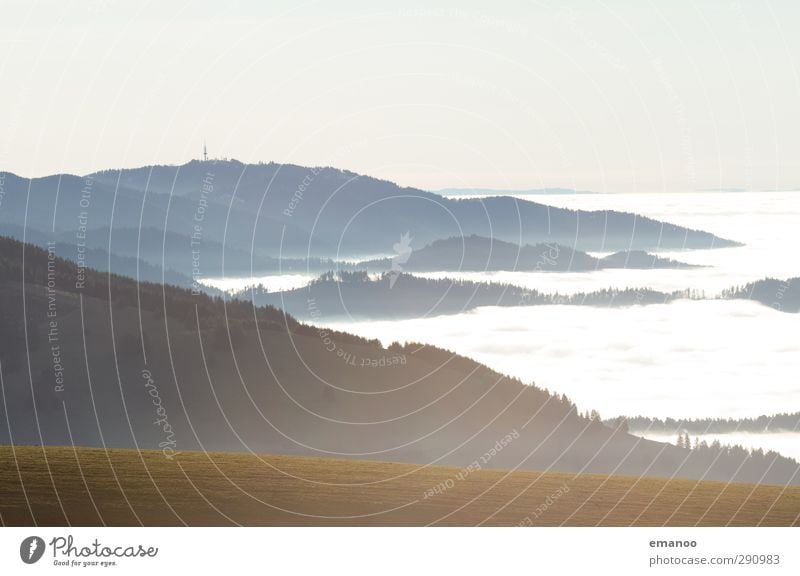 Schau ins Meer Ferien & Urlaub & Reisen Berge u. Gebirge wandern Natur Landschaft Luft Wasser Himmel Klima Wetter Nebel Pflanze Baum Gras Wiese Wald Hügel