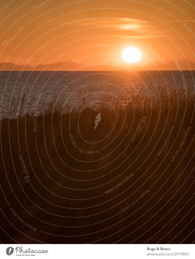 An der Küste Natur Landschaft Wasser Sonne Sonnenaufgang Sonnenuntergang Gras Strand Bucht Nordsee Ostsee Meer Insel ästhetisch Ende Erholung Glaube
