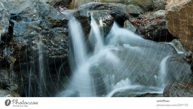 Der Fluss der Zeit Umwelt Natur Pflanze Urelemente Wasser Felsen Bach nass fließen Wildbach Steinwand Langzeitbelichtung ruhig Geplätscher Wassertropfen