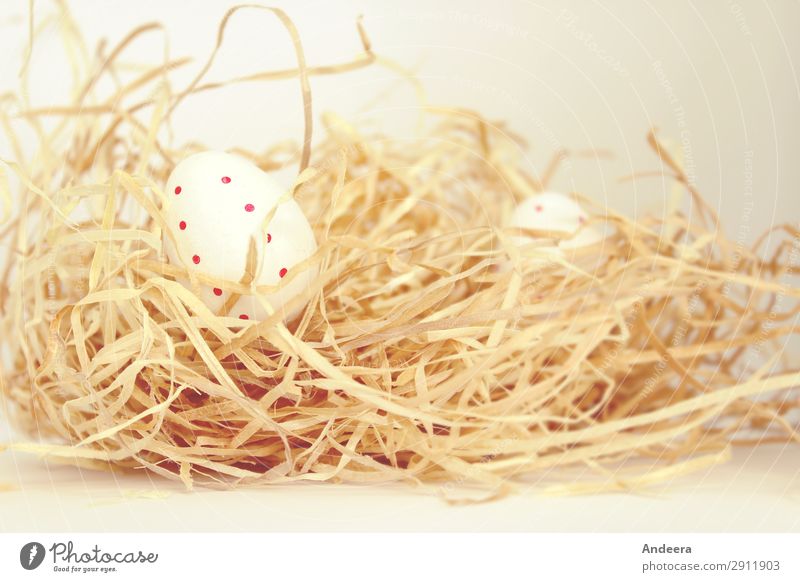 Weiße Ostereier mit roten Punkten im Stroh Ostern Dekoration & Verzierung blond hell natürlich rund trocken weiß ruhig Beginn Religion & Glaube Ei gepunktet