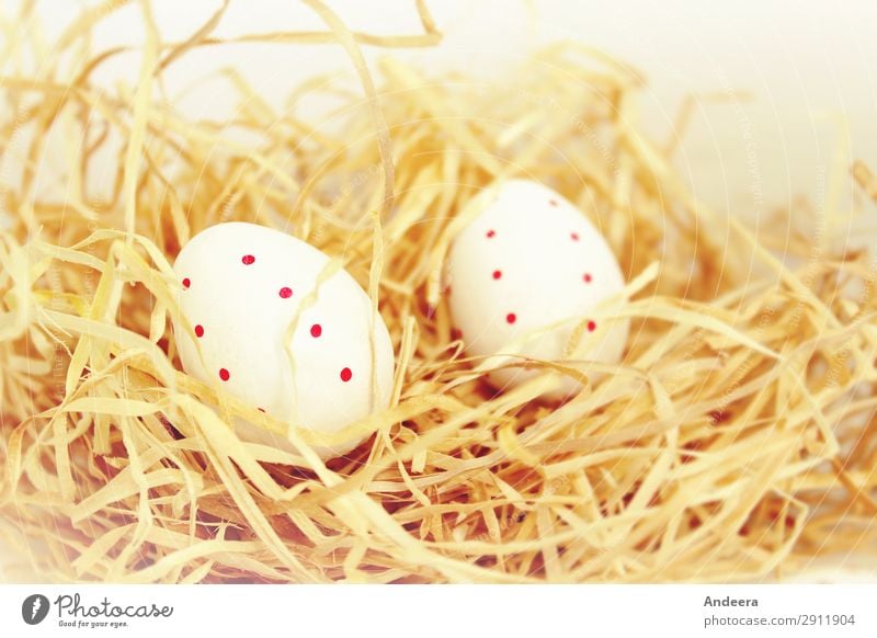 Zwei weiße Ostereier mit roten Punkten im Stroh Ostern Frühling Dekoration & Verzierung Religion & Glaube hell beige Pastellton Ei gepunktet liegen ruhig