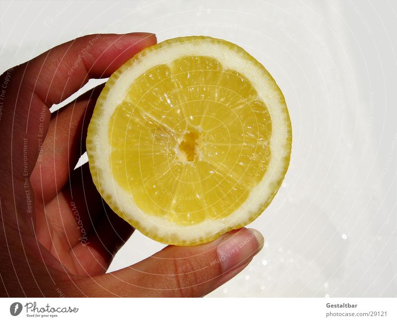 Sauer Zitrone gelb Hand Hälfte aufgeschnitten Gesundheit Vitamin Vitamin C gestaltbar Frucht Wut lustig