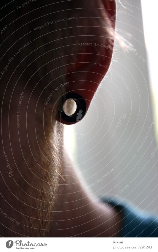 Punkt Ohr Junge Bart Haare & Frisuren Piercing Tunnel Schwache Tiefenschärfe Unschärfe Hals Licht Durchblick Durchgang durchsichtig hohl Kreis Ring Loch