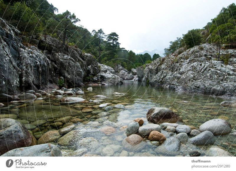 Korsika Frankreich Ferien & Urlaub & Reisen Reisefotografie Stein Wasser Baum Felsen Fluss Gewässer Berge u. Gebirge Tal Schwimmen & Baden Im Wasser treiben