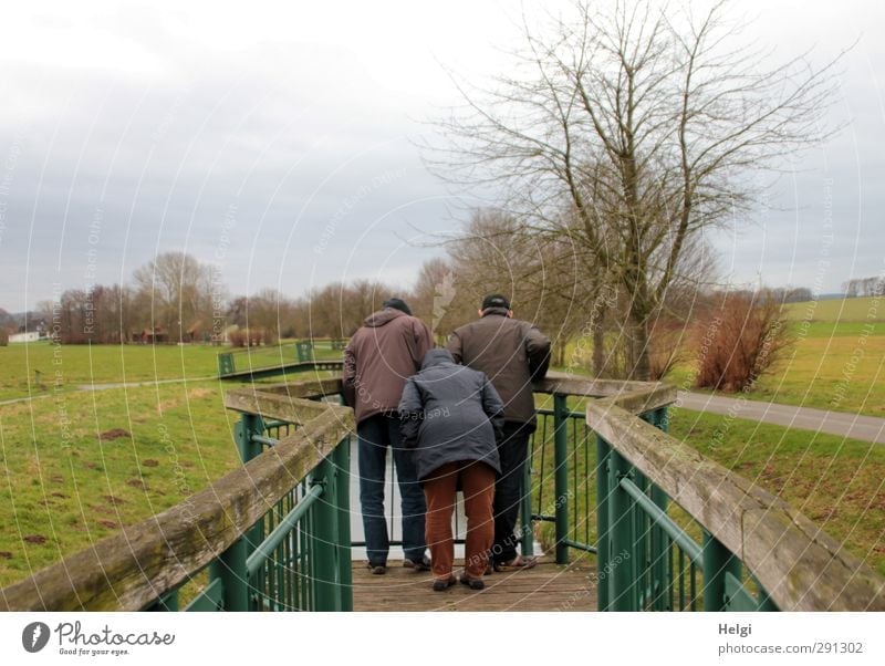 Rückansicht von drei Personen, die über ein Geländer in einen kleinen Fluss schauen Winter Mensch maskulin feminin Frau Erwachsene Mann Weiblicher Senior
