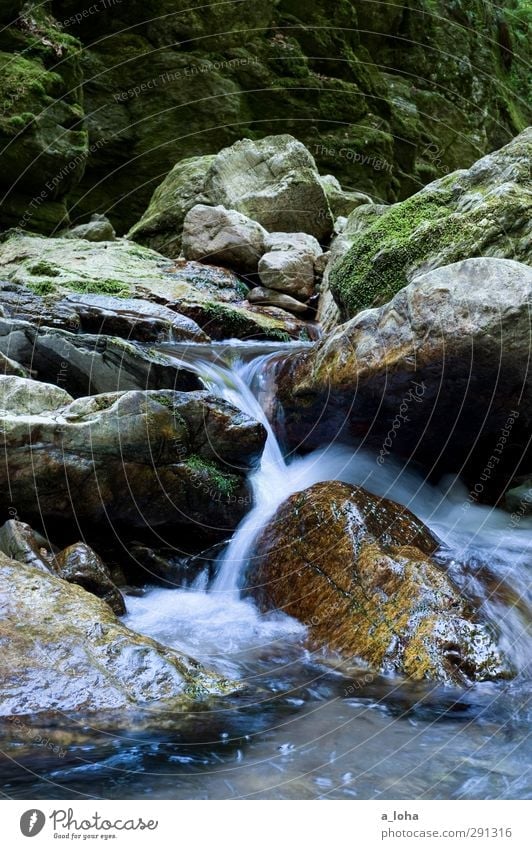 to go with the flow Umwelt Natur Urelemente Wasser Sommer Moos Felsen Alpen Berge u. Gebirge Schlucht Bach Fluss Wasserfall Stein eckig Flüssigkeit nass